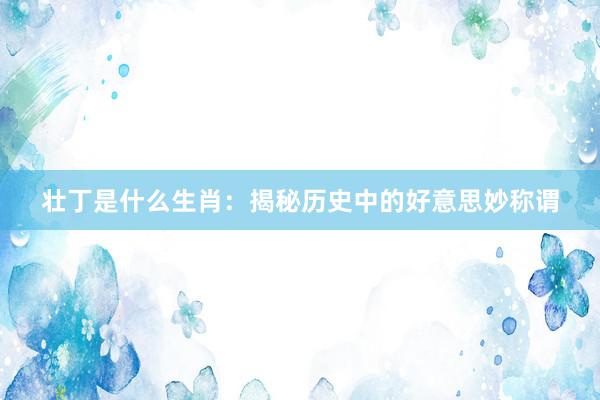 壮丁是什么生肖：揭秘历史中的好意思妙称谓