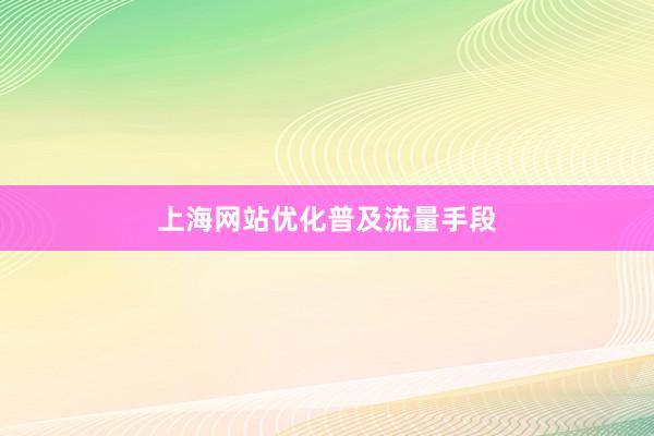 上海网站优化普及流量手段